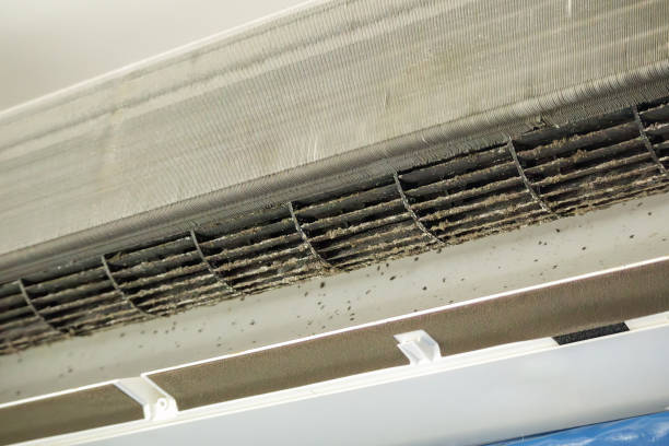 Best HVAC System Cleaning  in Big Bend, WI